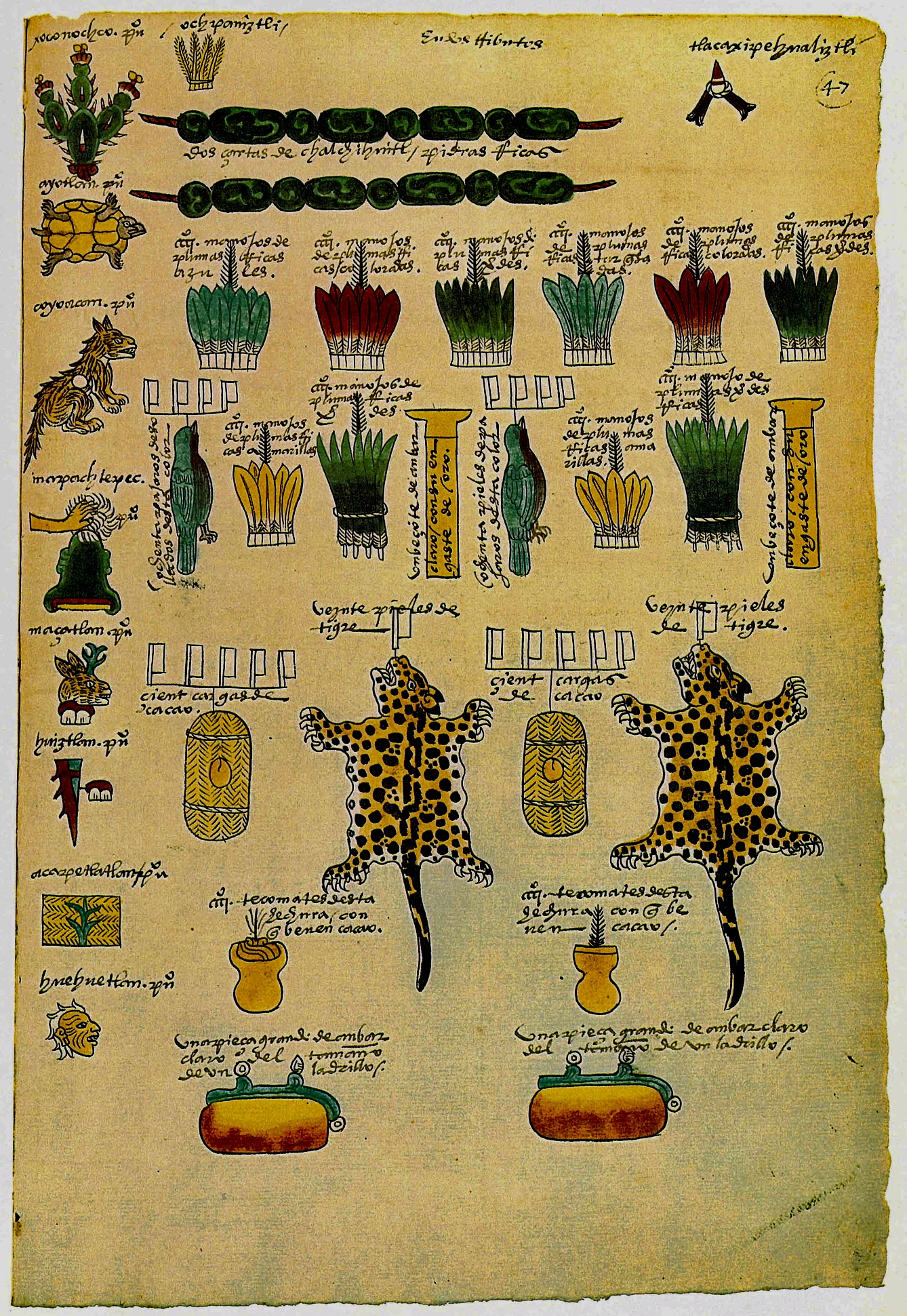 Codex mendoza 